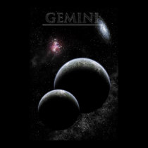 Labeled Gemini poster posters