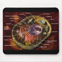 Labeled human cell mousepad