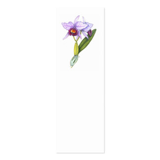 Labiata de Cattleya Tarjeta De Visita