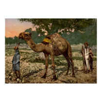 Laborers, Plain of Esdraelon, Holy Land posters by eyecandy Laborers, Plain of Esdraelon, Holy Land posters