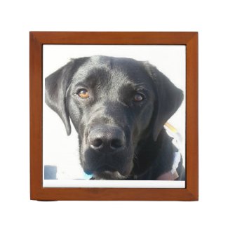 Labra-dorable Black Lab Desk Organizer