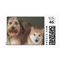 Labradoodle and Shiba Inu Stamps