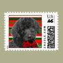Labradoodle Christmas Stripes