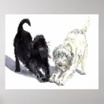 Labradoodle Doodle Posters