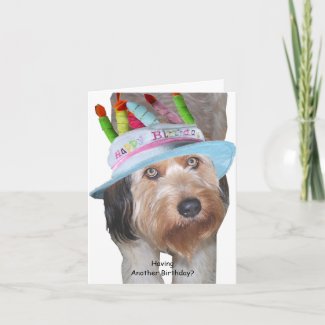 Labradoodle in Birthday Hat card