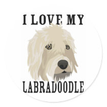 Labradoodle love! stickers