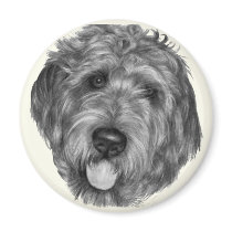 Labradoodle Refrigerator Magnets
