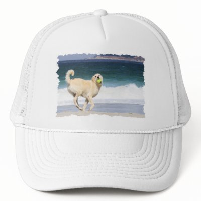 Labradoodle Marilyn Monroe of the Beach Hats by FrankzPawPrintz