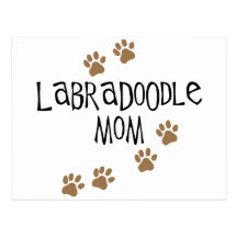 Labradoodle Mom Post Cards