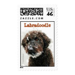 Labradoodle painting Postage