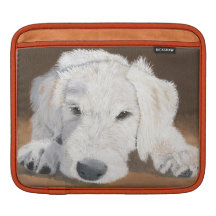 Labradoodle Pup iPad Sleeves