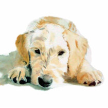 Labradoodle Pup Sculpture photo sculptures by mozache Labradoodle Pup Sculpture photo sculptures