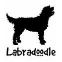 Labradoodle w/ Cool Text t-shirts by dogsandhorses Labradoodle w/ Cool Text t-shirts