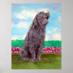 Labradoodle with Butterfly Print