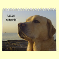 Labrador 2009 calendars by Rainmountain Labrador 2009 calendars
