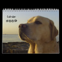Labrador 2009 calendars