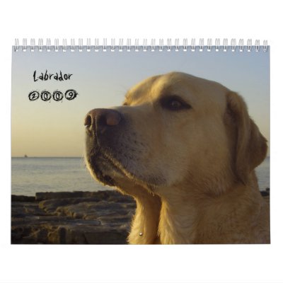 Labrador 2009 wall calendar by Rainmountain
