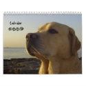 Labrador 2009 calendars