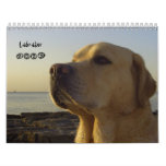 Labrador 2009 calendars