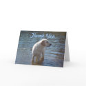 Labrador At Lake Thank You Card