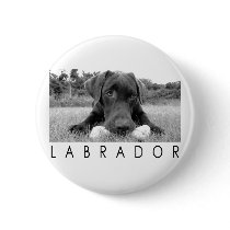 Labrador B&W Buttons