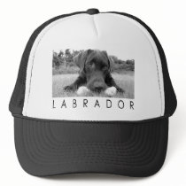 Labrador B&W Mesh Hat