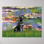 Labrador (black) - Lilies 2 Poster