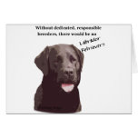 Labrador - Breeders Card