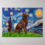 Labrador (Chocolate1) - Starry Night Posters