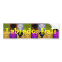 Labrador Dali Bumper Sticker bumper stickers