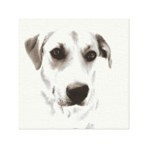 Labrador Dog face canvas print canvas prints