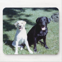 Labrador Dogs mousepads by JWZAZZBO Labrador Dogs mousepads