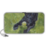 Labrador Doodle Speakers