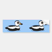 Labrador Duck (swim) Bumper Sticker