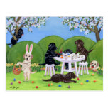 Labrador & Easter Eggs Post Card