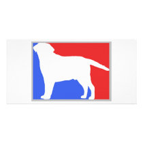 Labrador  exclusive design! photo cards