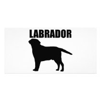 Labrador Gifts! photo cards