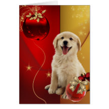 Labrador Golden Retriever Christmas Cards