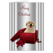 Labrador Golden Retriever Christmas Cards