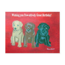 Labrador Happy Birthday Card postcards