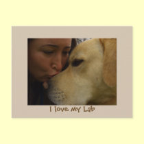 Labrador Love - I love my Lab postcards