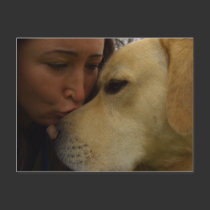 Labrador Love postcards