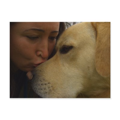 Labrador Love Post Card by Rainmountain