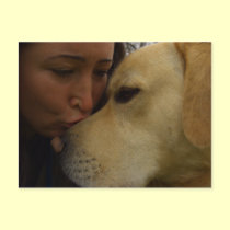 Labrador Love postcards