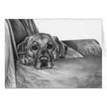 Labrador on Chair Drawing by Kelli Swan cards