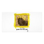 Labrador photo cards