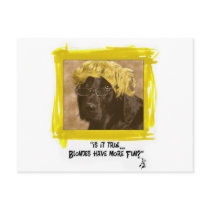 Labrador postcards