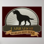 Labrador Poster