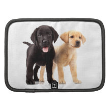 Labrador Puppies Organizer