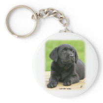 Labrador puppy 9Y267D-109 Keychain